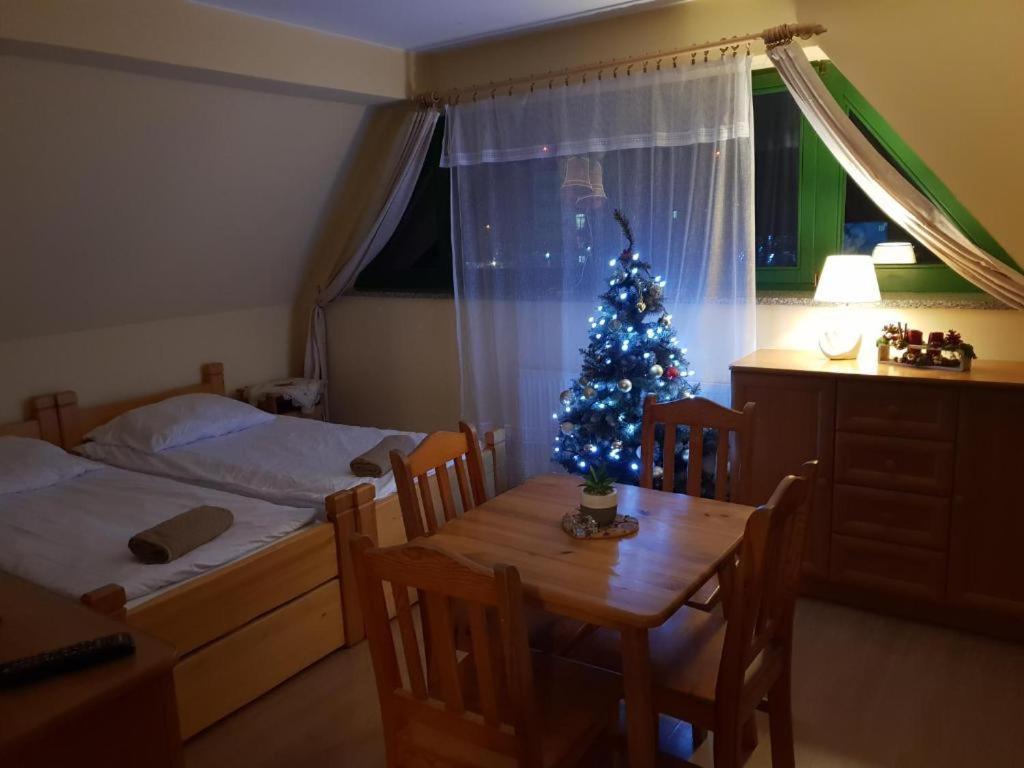 Apartamenty Pokoje Nowotarska Закопане Екстер'єр фото