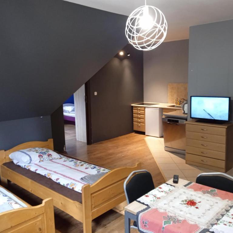 Apartamenty Pokoje Nowotarska Закопане Екстер'єр фото